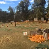 Pleasant Valley Farms photo