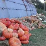 Pleasant Valley Farms photo