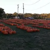 Pleasant Valley Farms photo