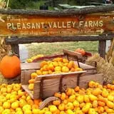 Pleasant Valley Farms photo