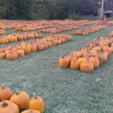 Pleasant Valley Farms photo