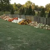Pleasant Valley Farms photo