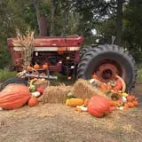 Pleasant Valley Farms photo