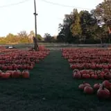 Pleasant Valley Farms photo