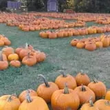 Pleasant Valley Farms photo