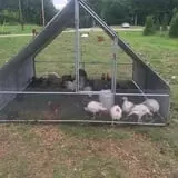 Pleasant Valley Farms photo