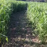 Pleasant Valley Farms photo