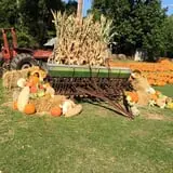 Pleasant Valley Farms photo
