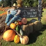 Pleasant Valley Farms photo