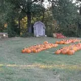Pleasant Valley Farms photo