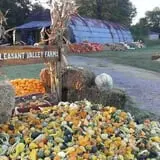 Pleasant Valley Farms photo