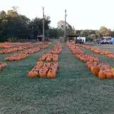 Pleasant Valley Farms photo