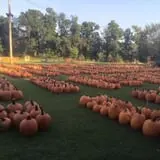 Pleasant Valley Farms photo