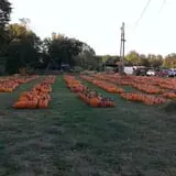 Pleasant Valley Farms photo