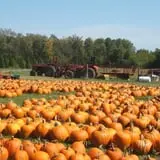 Pleasant Valley Farms photo