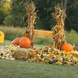 Pleasant Valley Farms photo