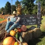 Pleasant Valley Farms photo