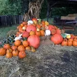 Pleasant Valley Farms photo