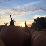 Pleasant Valley Farms photo