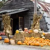 Pleasant Valley Farms photo