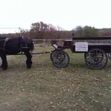 Pleasant Valley Farms photo