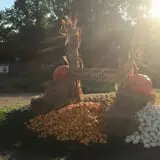 Pleasant Valley Farms photo