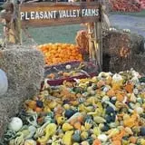 Pleasant Valley Farms photo