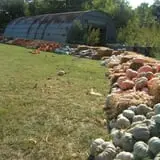 Pleasant Valley Farms photo