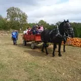 Pleasant Valley Farms photo