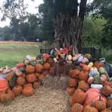 Pleasant Valley Farms photo