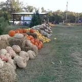 Pleasant Valley Farms photo