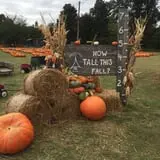 Pleasant Valley Farms photo