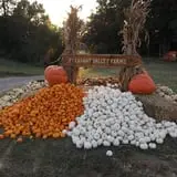 Pleasant Valley Farms photo