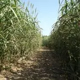 Pleasant Valley Farms photo
