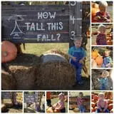Pleasant Valley Farms photo