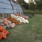 Pleasant Valley Farms photo