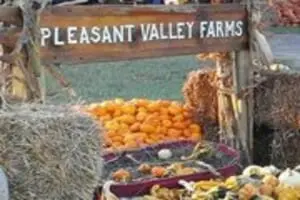 Pleasant Valley Farms
