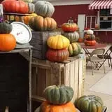 Tom's Farm Market Fall Festival photo