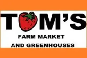 Tom's Farm Market Fall Festival