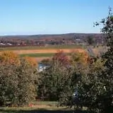 Lyman Orchards Corn Maze & Pumpkin Picking photo