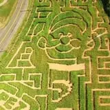 Lyman Orchards Corn Maze & Pumpkin Picking photo