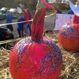 Lyman Orchards Corn Maze & Pumpkin Picking photo