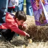 Lyman Orchards Corn Maze & Pumpkin Picking photo