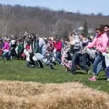Lyman Orchards Corn Maze & Pumpkin Picking photo