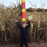 Lyman Orchards Corn Maze & Pumpkin Picking photo