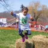 Lyman Orchards Corn Maze & Pumpkin Picking photo