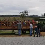 Just Piddlin Farm photo