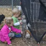 Just Piddlin Farm photo