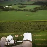 Just Piddlin Farm photo
