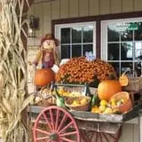 Emery's Blueberry Farm Corn Maze & Hayride photo